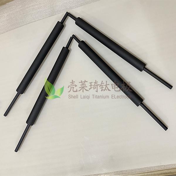 离子水天生用钛电极